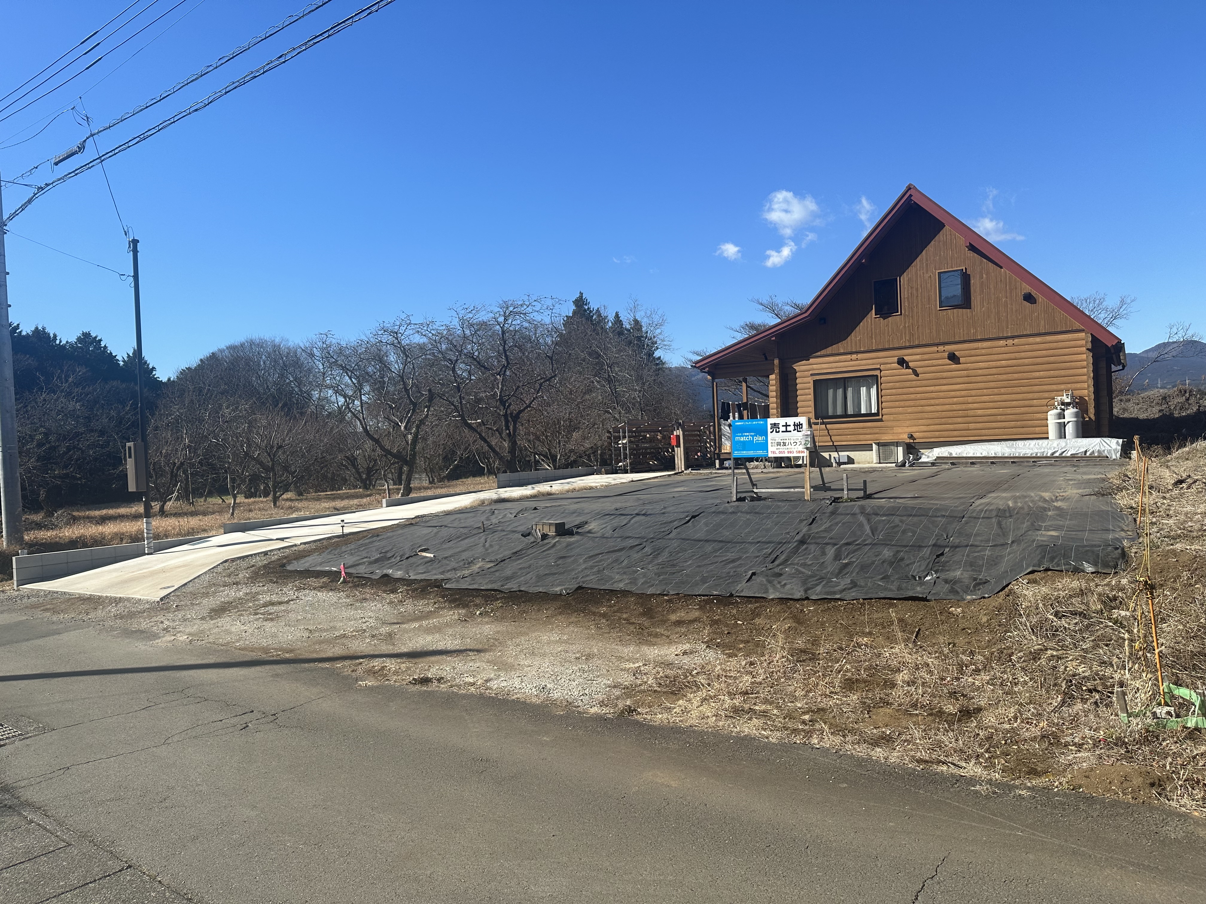 サムネイル画像