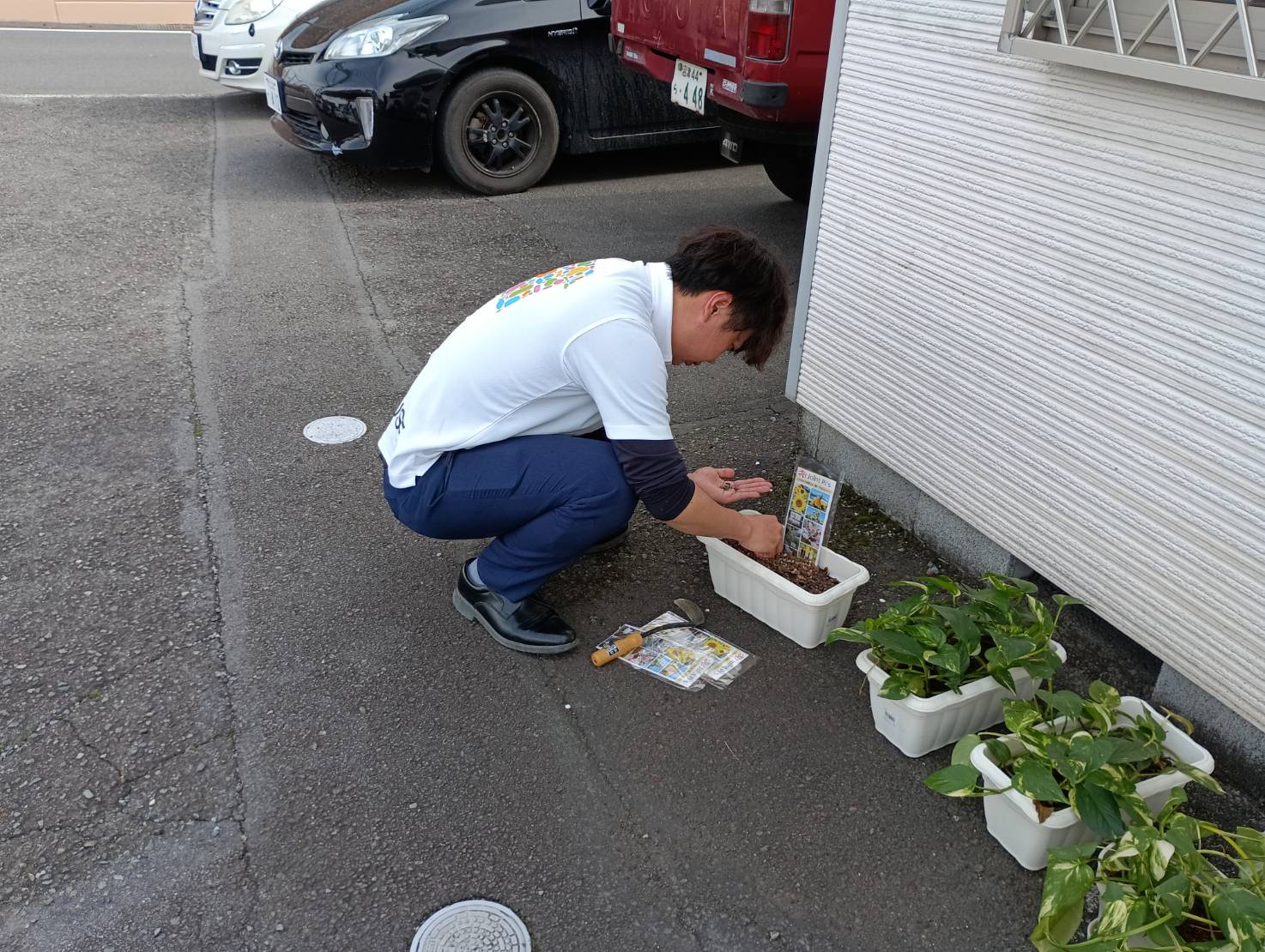 サムネイル画像